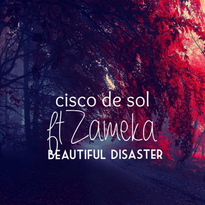 Beautiful Disaster (feat. Zameka) - Single