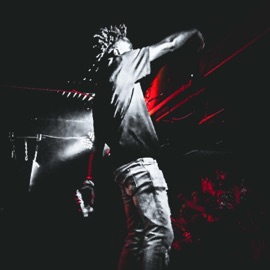 Vibe (feat. Nvsh) t.n.$