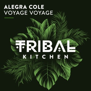 Voyage Voyage - Single