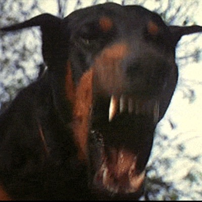 LATE/HOMAGE (REMIX) - Single