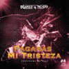 Pagarás Mi Tristeza (Sufriendo Me Voy) - Single