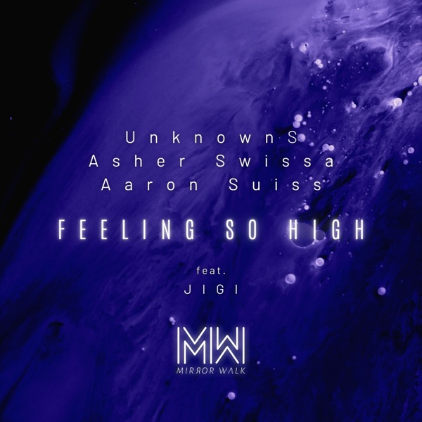 Feeling So High - Single