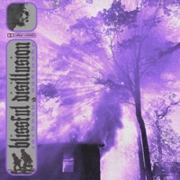 Blissful Disillusion - Jackson Sadinsky