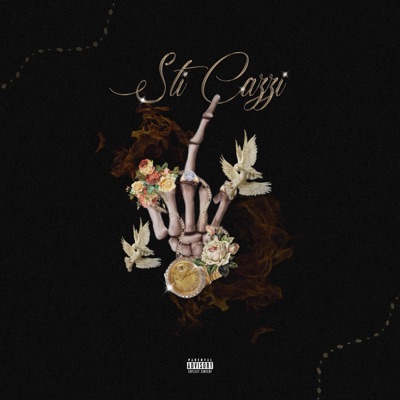 STICAZZI (feat. Zona Rossa) - Single