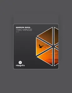 Escucha a Marvin Soul, mira videos musicales, lee su biografía, consulta las fechas de las gira y más.