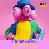 The Sensation (Stan Seba Remix) - Single - Ritchie Haydn