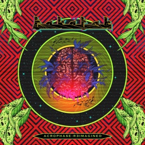Flash Your Bones (feat. Natasha Noorani & Talal Qureshi) - Single