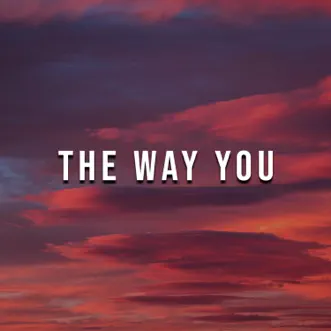 The Way You - Single by Robert Firth album reviews, ratings, credits