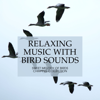 Natural Therapy - Mental Detox Series