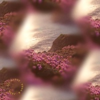 All Alone - Single - Yung K & JayR