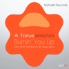 Burnin' You Up (Retro Zone Mixes & Mr Campo Remix)