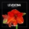 Space Control (Club Mix) - Leventina lyrics