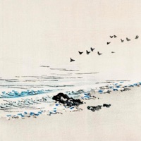 Cognitive Distortion - Single - Dysphoric