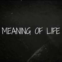 Meaning Of Life - Single - D4N
