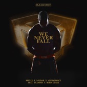 We Never Fall (Pro Mix) [feat. Examind & Robin Clark] artwork