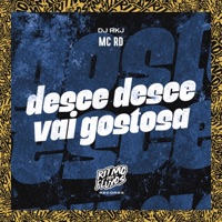 Desce Desce Vai Gostosa - Single - Mc Rd & DJ RKJ