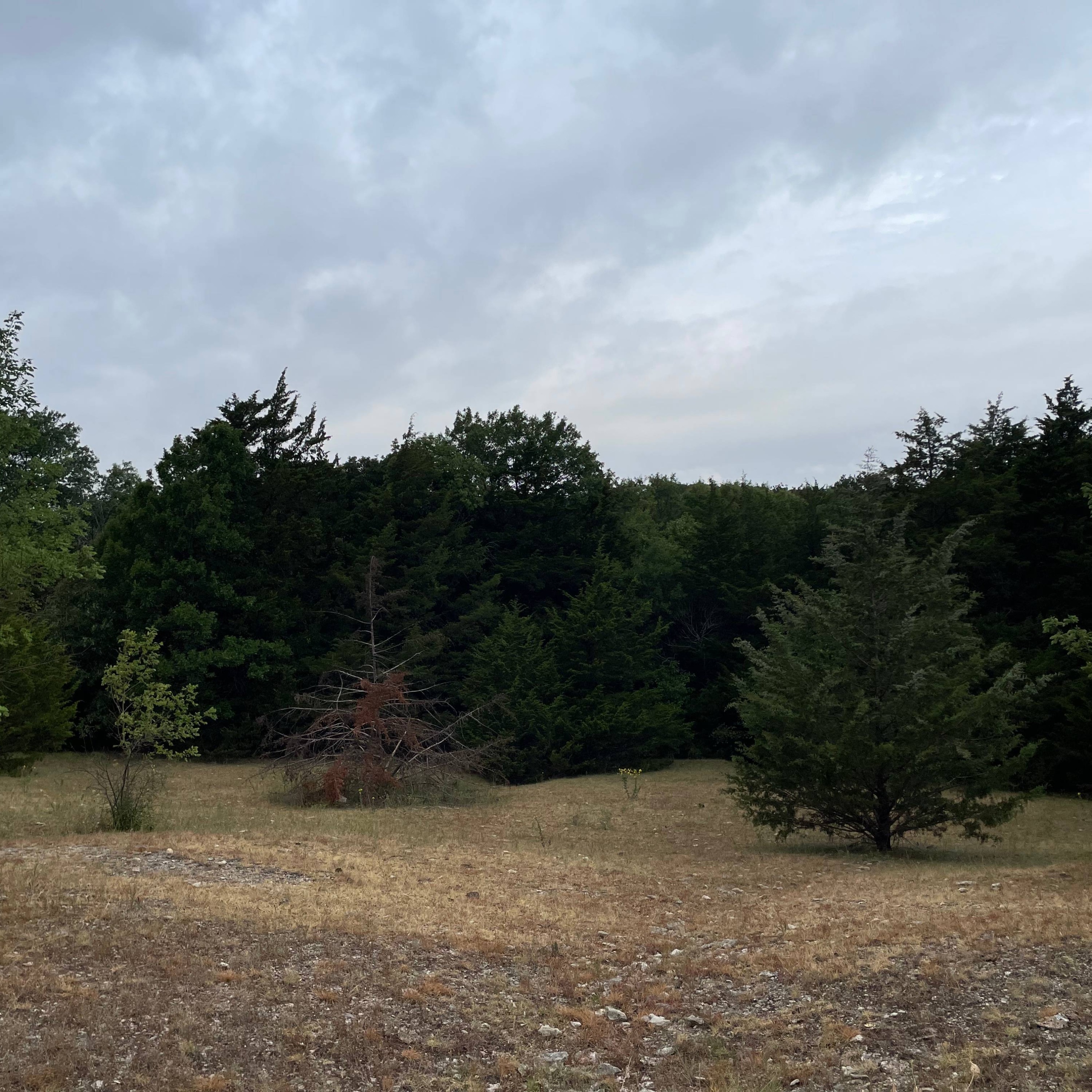 X13 - The Years Roll On