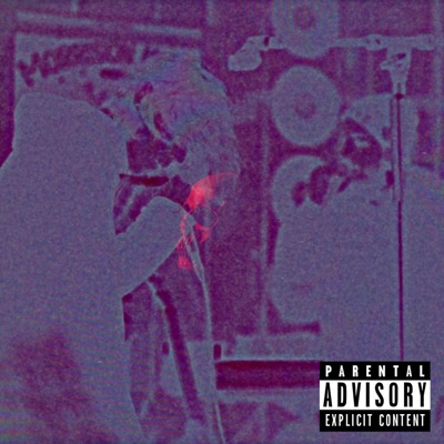 Latrodectus - Single