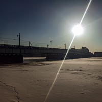 Лиса - Single - не придумал