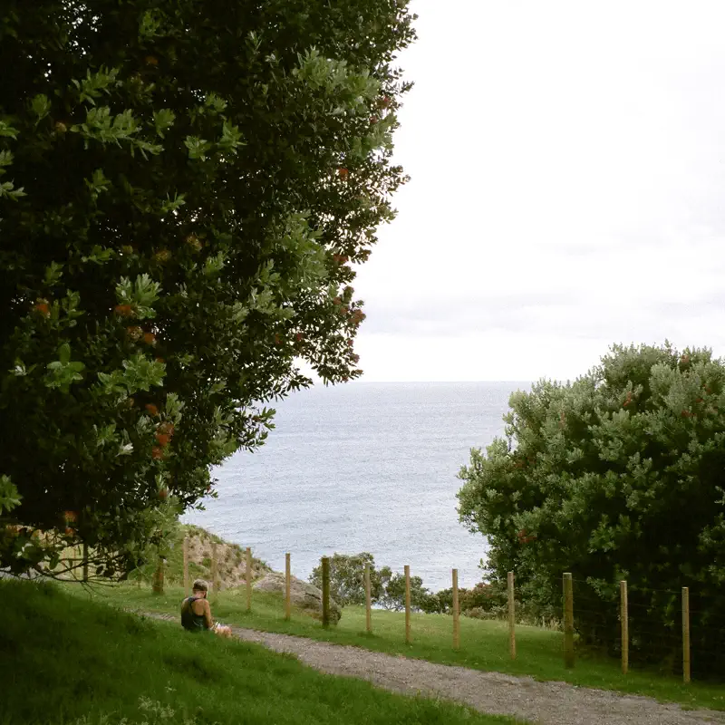 YUHA - Always - Single (2022) [iTunes Plus AAC M4A]-新房子