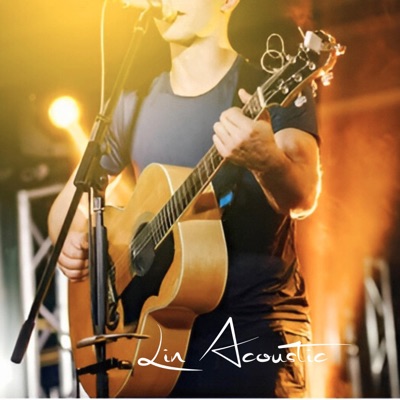 Lin Acoustic - Moonlight Rising