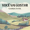 Você Vai Gostar - Single