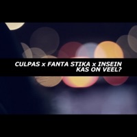 Kas on veel? (feat. Fanta Stika & Insein) - Single - Culpas