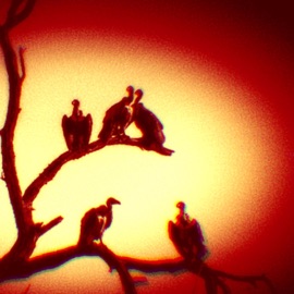 in my element Flowervillain