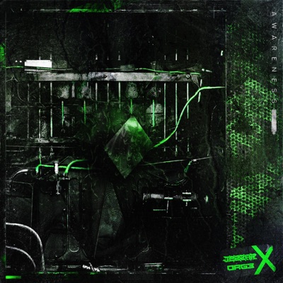 Awareness (feat. Org3) - Single