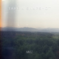 Take a Snapshot - Single - Mintz