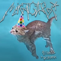 Miracoli (feat. diorama) - Single - Peghi18