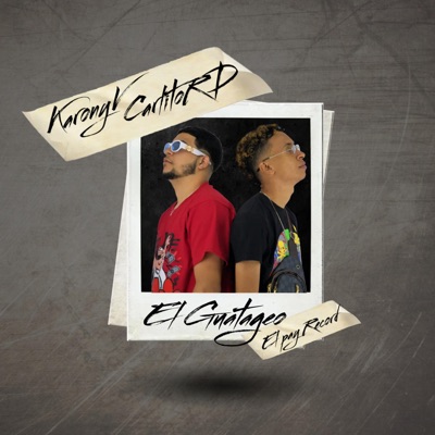 El Guatageo - Single