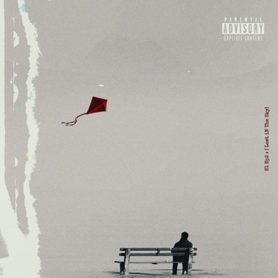 Lost iN the Sky . - Single