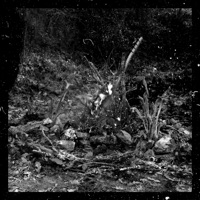 Zaman (feat. Evrim Özşuca, Burak Küçük & Tuna Sil) [Live at Binbirdirek] - Single - Emin Gök