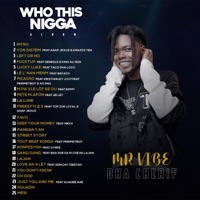 Who This Nigga - Mr Vibe