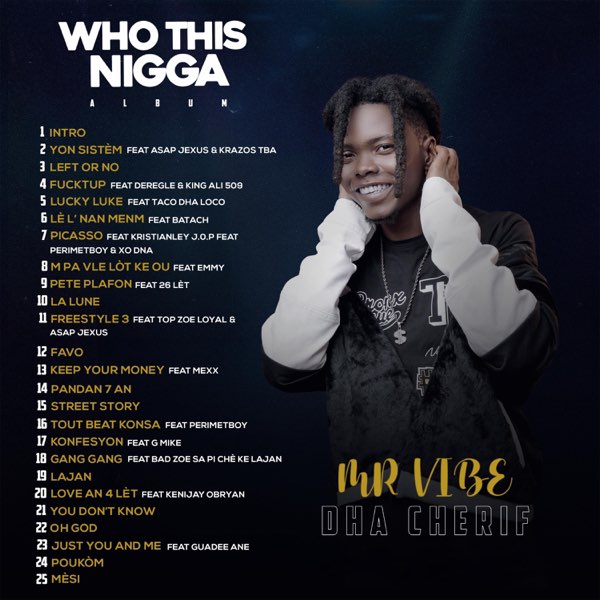 Who This Nigga - Album by Mr Vibe - Apple Music