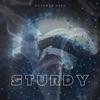 Sturdy (feat. Ian i-Cee & Wasteland Doctor) - Single