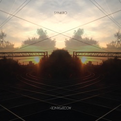Synkro - Recognition