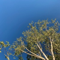 Three Things - Single - ryan schultz