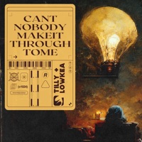 Can't Nobody Make It Through To Me (feat. T1LLY) - Single - Lowkea