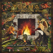 Yokha (Rodrigo Gallardo Remix) artwork