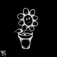 Past Summers (feat. Scott Mackenzie) - Single - Nikki Vale