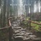 Mountain Path - Lesfm lyrics