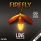 Love Is Gonna Be on Your Side - FireFLY lyrics