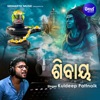 Shivay - Single