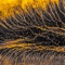 Mayheme - Lensky lyrics