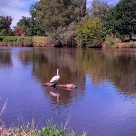 Something in the Air (feat. Patrick O'neill) NYKO