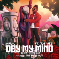 Dey My Mind (feat. Joe Vibe) [Acoustic Version] - Single - Wan-O
