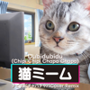 Dubidubidu (Chipi Chipi Chapa Chapa) [猫ミーム チピチピチャパチャパ COVER REMIX] - DJ Rask