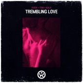 Trembling Love (Extended Mix) artwork